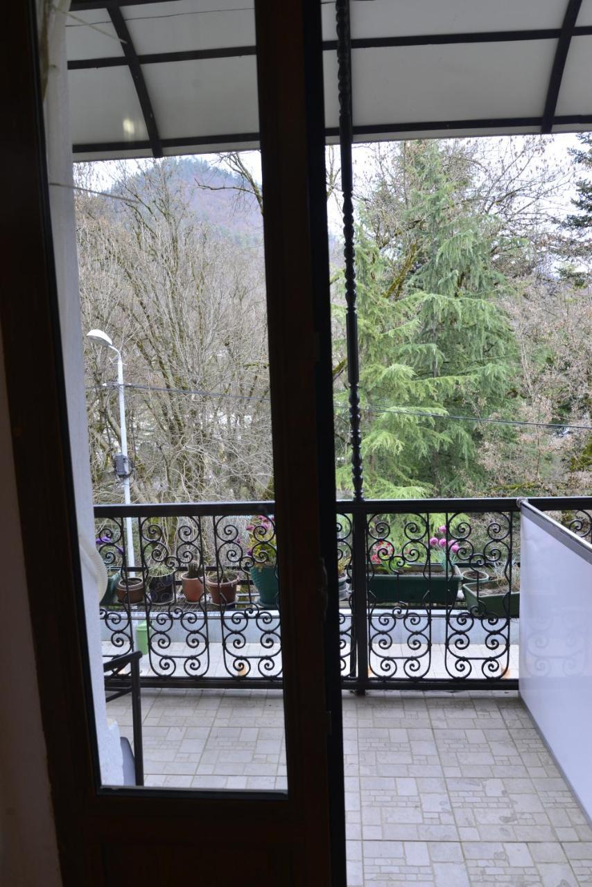 Hotel Victoria Borjomi Eksteriør bilde